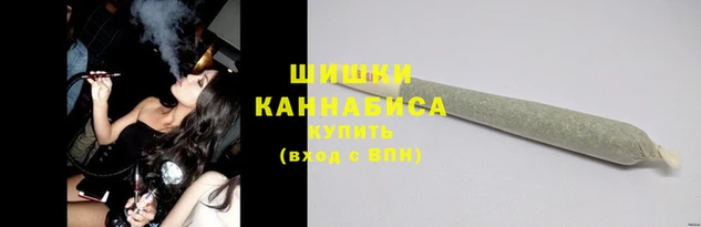 индика Горнозаводск